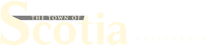 Town of Scotia Logo